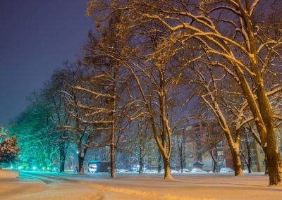 Zimska idila u Belom Manastiru